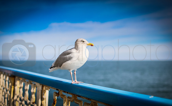 Llandudno,