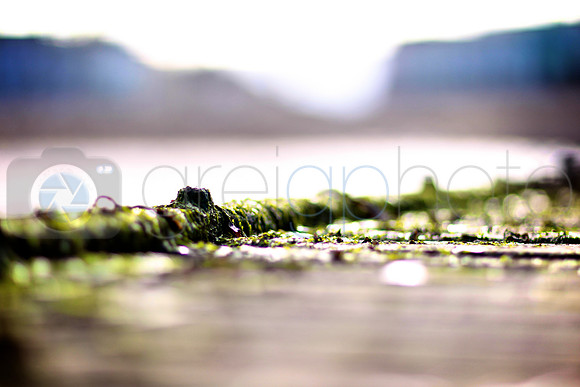 Llandudno,