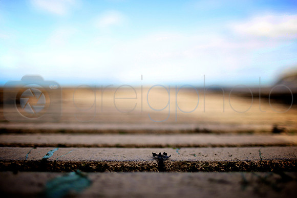 Llandudno,