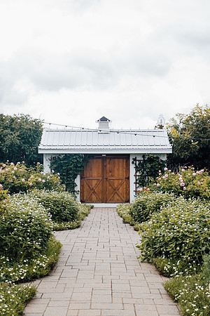 annie-shelmerdine-oTH0rBJi86k-unsplash